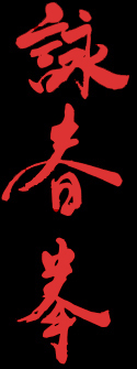 Ip Man Wing Chun Kungfu - Calligraphy - Adam Wallace Chinese Health and Martial Arts