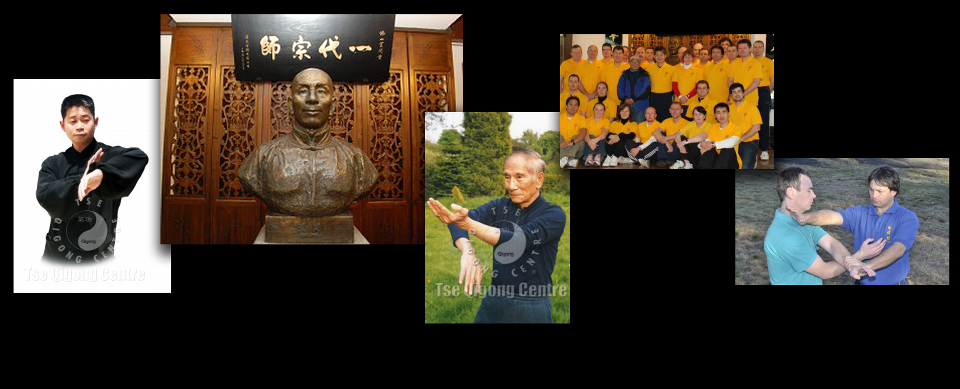 Ip Man Wing Chun Kungfu -  Adam Wallace Chinese Health and Martial Arts - Montage